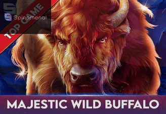 Majestic Wild Buffalo